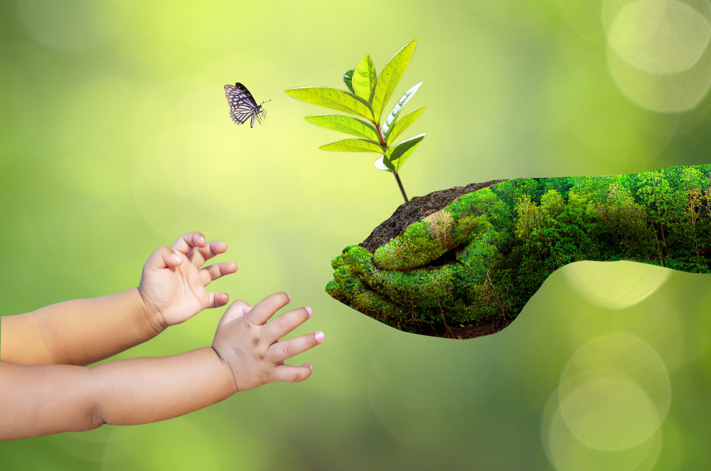 Environnement